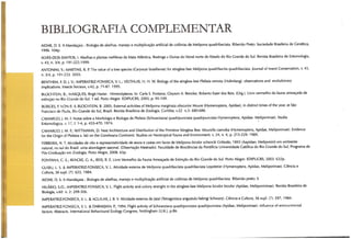 Abelhas sem ferrão no RS