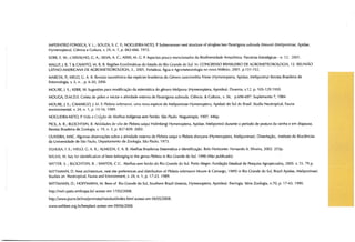 Abelhas sem ferrão no RS