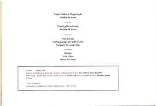 Abelhas sem ferrão no RS