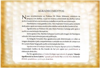 Abelhas sem ferrão no RS