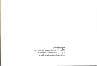 Abelhas sem ferrão no RS