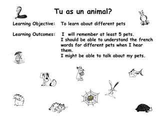 Tu as un animal? Learning Objective:	To learn about different pets Learning Outcomes:	I  will remember at least 5 pets. 			I should be able to understand the french 			words for different pets when I hear 			them. 			I might be able to talk about my pets. 