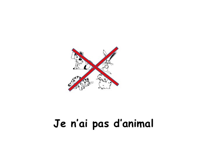 7j R2 Lessons Tu As Un Animal