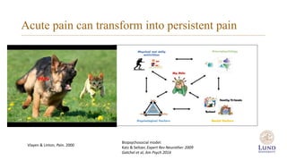 Persistent postsurgical pain in children | PPTX