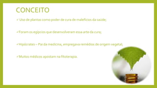 CONCEITO
 Uso de plantas como poder de cura de malefícios da saúde;
Foram os egípcios que desenvolveram essa arte da cura;
Hipócrates – Pai da medicina, empregava remédios de origem vegetal;
Muitos médicos apostam na fitoterapia.
 