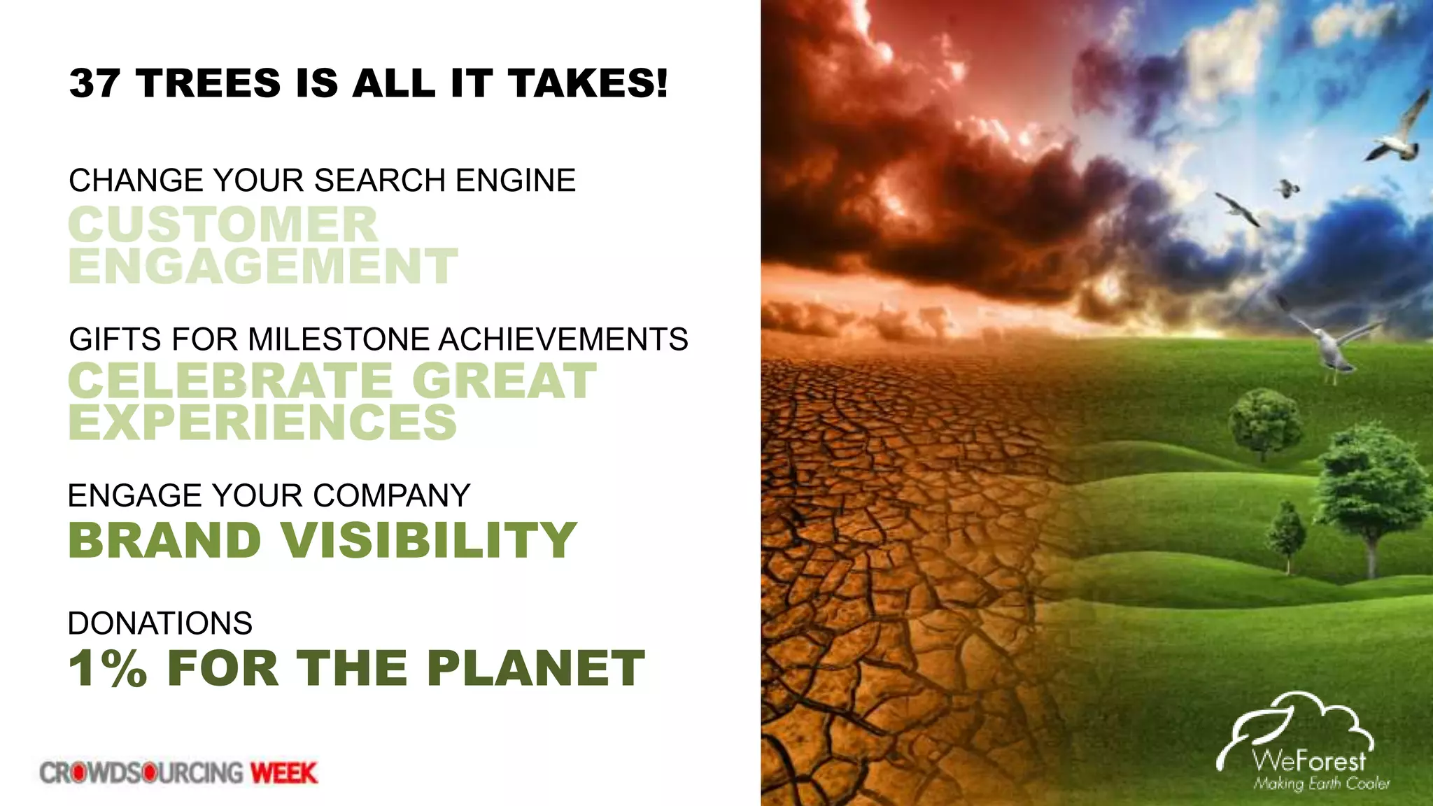 CUSTOMER
ENGAGEMENT
CELEBRATE GREAT
EXPERIENCES
BRAND VISIBILITY
ENGAGE YOUR COMPANY
CHANGE YOUR SEARCH ENGINE
GIFTS FOR MILESTONE ACHIEVEMENTS
1% FOR THE PLANET
DONATIONS
37 TREES IS ALL IT TAKES!
 
