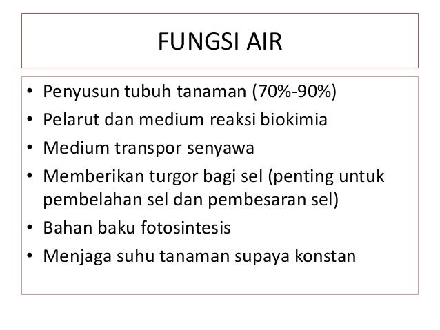 7 Kebutuhan Air Tanaman