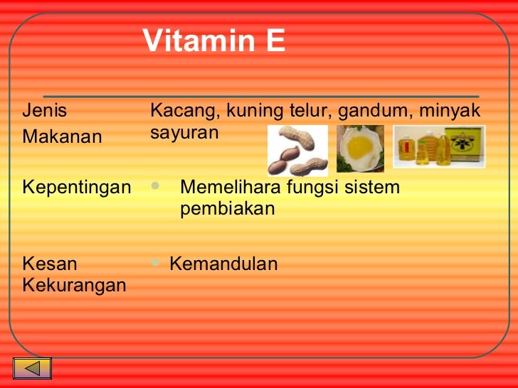 7 Kelas Makanan