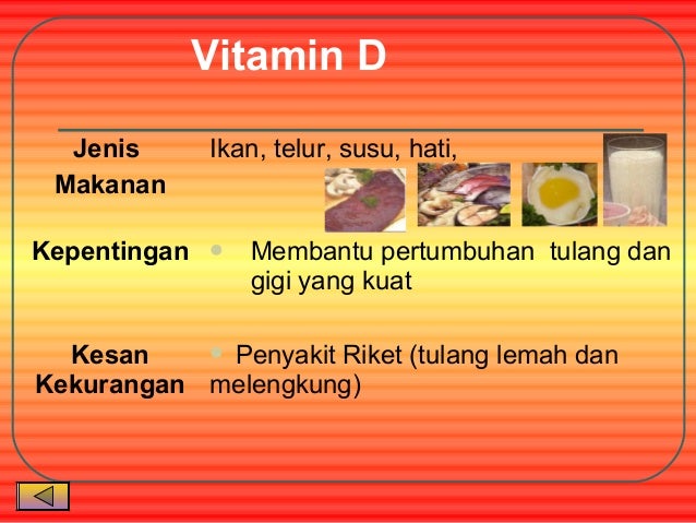 7 kelas makanan