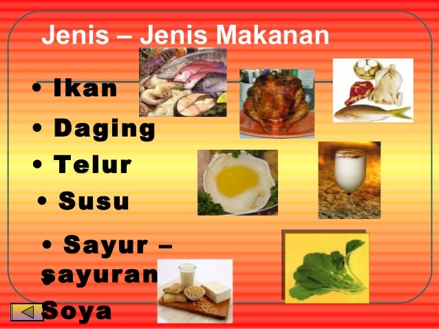 7 kelas makanan 7 kelas makanan