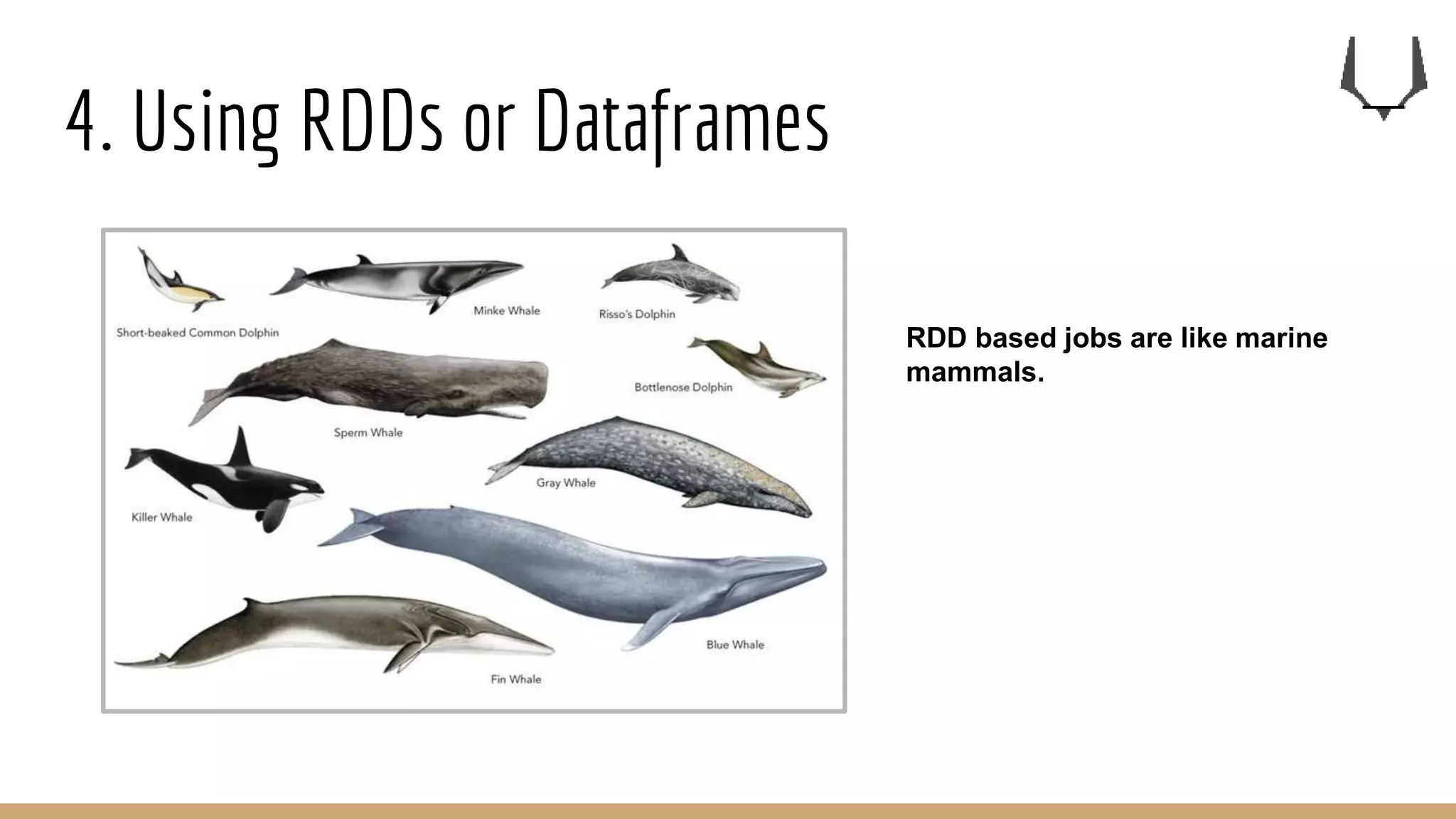 4. Using RDDs or Dataframes
RDD based jobs are like marine
mammals.
 