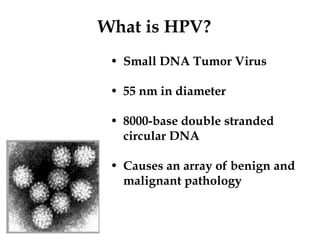 What is HPV?
 • Small DNA Tumor Virus

 • 55 nm in diameter

 • 8000-base double stranded
   circular DNA

 • Causes an array of benign and
   malignant pathology
 