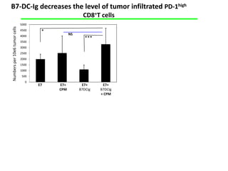 B7-DC-Ig decreases the level of tumor infiltrated PD-1high
                                                        CD8+T cells
                               5000
Numbers per 10e6 tumor cells


                               4500    *
                               4000
                                                 NS
                                                         ***
                               3500
                               3000
                               2500
                               2000
                               1500
                               1000
                               500
                                  0
                                      E7   E7+         E7+      E7+
                                           CPM        B7DCIg   B7DCIg
                                                               + CPM
 