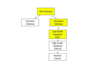 HPV Infection



Transient                   Persistent
Infection                   Infection


                        Low Grade
                         Dysplasia
                          CIN 1

                        High Grade
                         Dysplasia
                          CIN 2/3

                            Invasive
                             Cancer
 