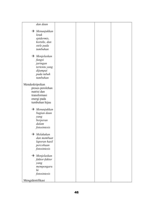 dan daun
 Menunjukkan
letak
epidermis,
korteks, dan
stele pada
tumbuhan
 Menjelaskan
fungsi
jaringan
tertentu yang
dijumpai
pada tubuh
tumbuhan
Mendeskripsikan
proses perolehan
nutrisi dan
transformasi
energi pada
tumbuhan hijau
 Menunjukkan
bagian daun
yang
berperan
dalam
fotosintesis
 Melakukan
dan membuat
laporan hasil
percobaan
fotosintesis
 Menjelaskan
faktor-faktor
yang
mempengaru
hi
fotosintesis
Mengidentifikasi
46
 