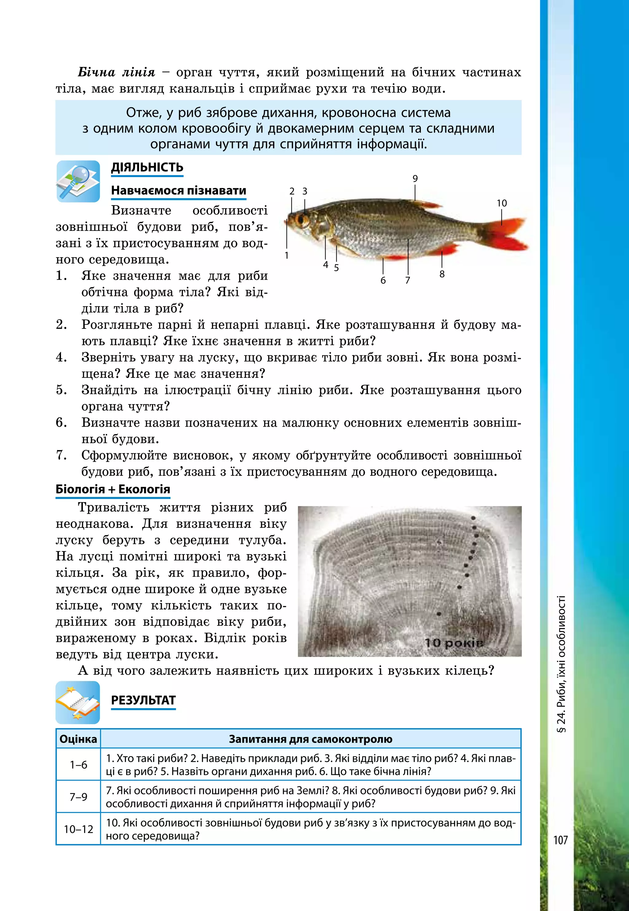 107
Бічна лінія – орган чуття, який розміщений на бічних частинах
тіла, має вигляд канальців і сприймає рухи та течію води.
Отже, у риб зяброве дихання, кровоносна система
з одним колом кровообігу й двокамерним серцем та складними
органами чуття для сприйняття інформації.
	ДІЯЛЬНІСТЬ
	Навчаємося пізнавати
Визначте особливості
зовніш­ньої будови риб, пов’я-
зані з їх пристосуванням до вод­
ного середовища.
1. 	 Яке значення має для риби
обтічна форма тіла? Які від-
діли тіла в риб?
2. 	 Розгляньте парні й непарні плавці. Яке розташування й будову ма-
ють плавці? Яке їхнє значення в житті риби?
4.	 Зверніть увагу на луску, що вкриває тіло риби зовні. Як вона розмі-
щена? Яке це має значення?
5. 	 Знайдіть на ілюстрації бічну лінію риби. Яке розташування цього
органа чуття?
6. 	 Визначте назви позначених на малюнку основних елементів зовніш-
ньої будови.
7. 	 Сформулюйте висновок, у якому обґрунтуйте особливості зовнішньої
будови риб, пов’язані з їх пристосуванням до водного середовища.
Біологія + Екологія
Тривалість життя різних риб
неоднакова. Для визначення віку
луску беруть з середини тулуба.
На лусці помітні широкі та вузькі
кільця. За рік, як правило, фор-
мується одне широке й одне вузьке
кільце, тому кількість та­ких по­
двійних зон відповідає віку риби,
вираженому в роках. Відлік років
ведуть від цент­ра луски.
А від чого залежить наявність цих широких і вузьких кілець?
	РЕЗУЛЬТАТ
Оцінка Запитання для самоконтролю
1–6
1. Хто такі риби? 2. Наведіть приклади риб. 3. Які відділи має тіло риб? 4. Які плав-
ці є в риб? 5. Назвіть органи дихання риб. 6. Що таке бічна лінія?
7–9
7. Які особливості поширення риб на Землі? 8. Які особливості будови риб? 9. Які
особливості дихання й сприйняття інформації у риб?
10–12
10. Які особливості зовнішньої будови риб у зв’язку з їх пристосуванням до вод-
ного середовища?
1
2 3
4 5
6 7
8
9
10
§24.Риби,їхніособливості
 