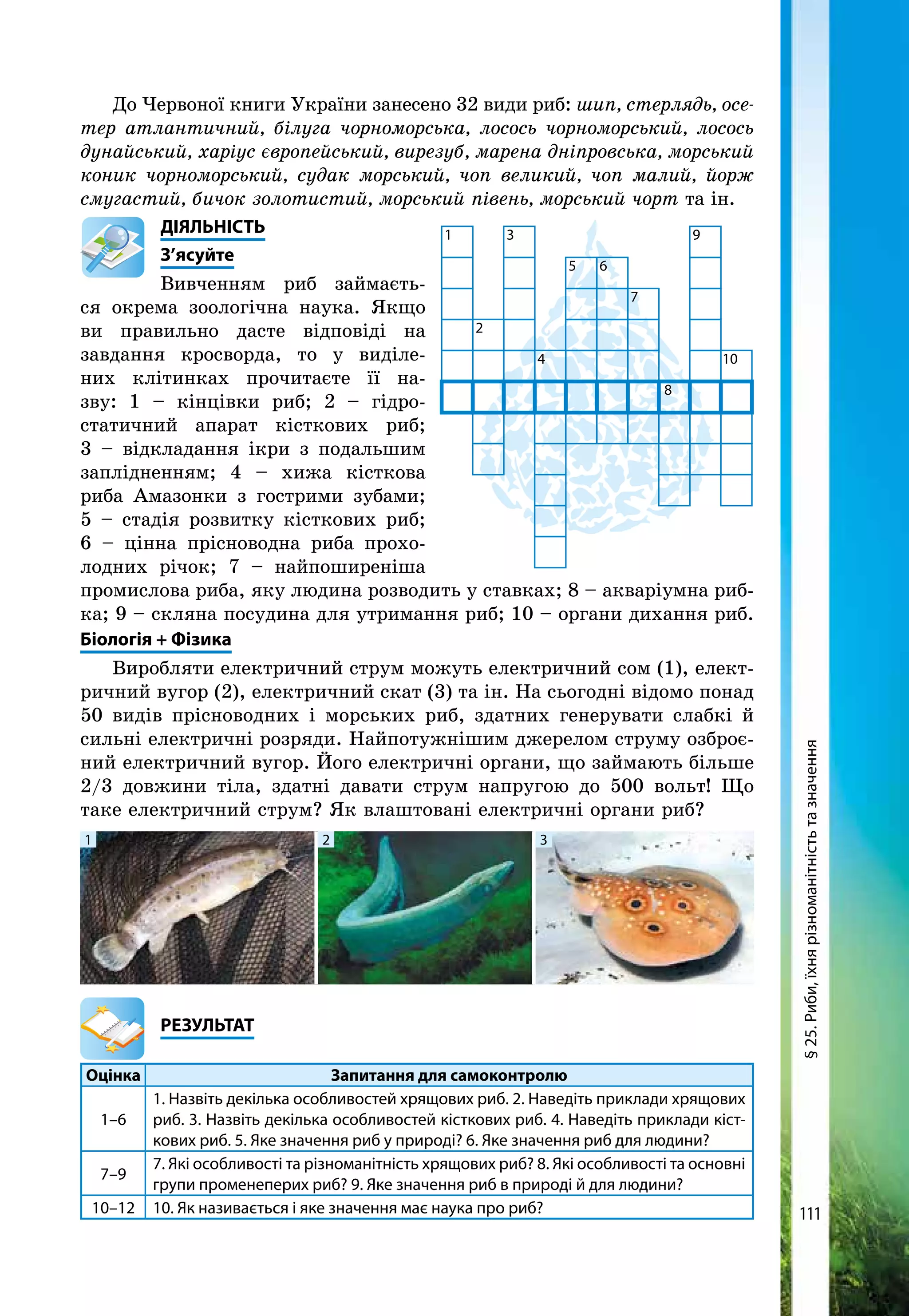 111
До Червоної книги України занесено 32 види риб: шип, стерлядь, осе-
тер атлантичний, білуга чорноморська, лосось чорноморський, лосось
дунайський, харіус європейський, вирезуб, марена дніпровська, морський
коник чорноморський, судак морський, чоп великий, чоп малий, йорж
смугастий, бичок золотистий, морський півень, морський чорт та ін.
	ДІЯЛЬНІСТЬ
	З’ясуйте
Вивченням риб займаєть-
ся окрема зоологічна наука. Якщо
ви правильно дасте відповіді на
завдання кросворда, то у виділе-
них клітинках прочитаєте її на-
зву: 1 – кінцівки риб; 2 – гідро-
статичний апарат кісткових риб;
3 – відкладання ікри з подальшим
заплідненням; 4 – хижа кісткова
риба Амазонки з гострими зубами;
5 – стадія розвитку кісткових риб;
6 – цінна прісноводна риба прохо-
лодних річок; 7 – найпоширеніша
промислова риба, яку людина розводить у ставках; 8 – акваріумна риб-
ка; 9 – скляна посудина для утримання риб; 10 – органи дихання риб.
Біологія + Фізика
Виробляти електричний струм можуть електричний сом (1), елект­
ричний вугор (2), електричний скат (3) та ін. На сьогодні відомо понад
50 видів прісноводних і морських риб, здатних генерувати слабкі й
сильні електричні розряди. Найпотужнішим джерелом струму озброє-
ний електричний вугор. Його електричні органи, що займають більше
2/3 довжини тіла, здатні давати струм напругою до 500 вольт! Що
таке електричний струм? Як влаштовані електричні органи риб?
1
2
3
4
5 6
7
8
9
10
§25.Риби,їхнярізноманітністьтазначення
1 2 3
	РЕЗУЛЬТАТ
Оцінка Запитання для самоконтролю
1–6
1. Назвіть декілька особливостей хрящових риб. 2. Наведіть приклади хрящових
риб. 3. Назвіть декілька особливостей кісткових риб. 4. Наведіть приклади кіст-
кових риб. 5. Яке значення риб у природі? 6. Яке значення риб для людини?
7–9
7. Які особливості та різноманітність хрящових риб? 8. Які особливості та основні
групи променеперих риб? 9. Яке значення риб в природі й для людини?
10–12 10. Як називається і яке значення має наука про риб?
 