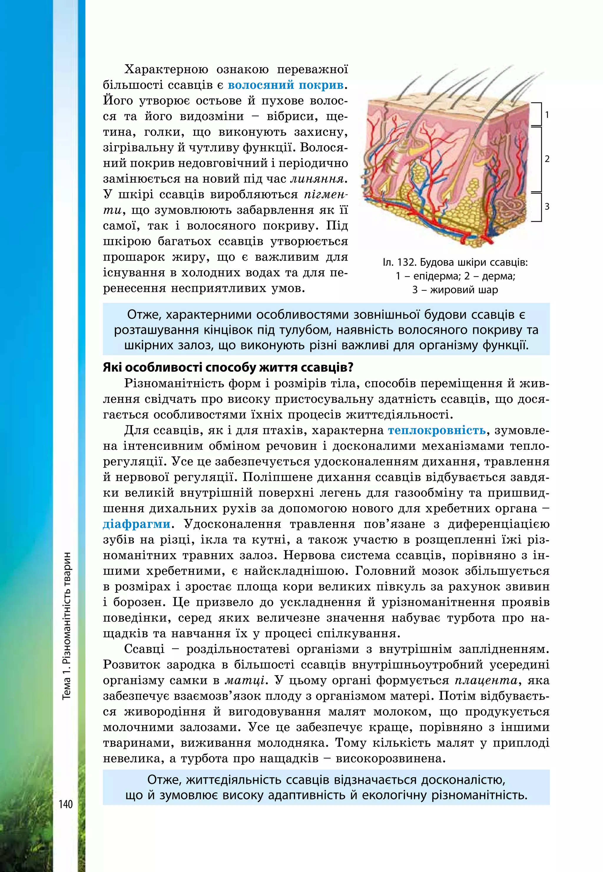 Тема1.Різноманітністьтварин
140
Характерною ознакою переважної
більшості ссавців є волосяний покрив.
Його утворює остьове й пухове волос-
ся та його видозміни – вібриси, ще-
тина, голки, що виконують захисну,
зігрівальну й чутливу функції. Волося-
ний покрив недовговічний і періодично
замінюється на новий під час линяння.
У шкірі ссавців виробляються пігмен-
ти, що зумовлюють забарвлення як її
самої, так і волосяного покриву. Під
шкірою багатьох ссавців утворюється
прошарок жиру, що є важливим для
існування в холодних водах та для пе-
ренесення не­сприятливих умов.
Отже, характерними особливостями зовнішньої будови ссавців є
розташування кінцівок під тулубом, наявність волосяного покриву та
шкірних залоз, що виконують різні важливі для організму функції.
Які особливості способу життя ссавців?
Різноманітність форм і розмірів тіла, способів переміщення й жив-
лення свідчать про високу пристосувальну здатність ссавців, що дося-
гається особливостями їхніх процесів життєдіяльності.
Для ссавців, як і для птахів, характерна теплокровність, зумовле-
на інтенсивним обміном речовин і досконалими механізмами тепло-
регуляції. Усе це забезпечується удосконаленням дихання, травлення
й нервової регуляції. Поліпшене дихання ссавців відбувається завдя-
ки великій внутрішній поверхні легень для газообміну та пришвид-
шення дихальних рухів за допомогою нового для хребетних органа –
діафрагми. Удосконалення травлення пов’язане з диференціацією
зубів на різці, ікла та кутні, а також участю в розщепленні їжі різ-
номанітних травних залоз. Нервова система ссавців, порівняно з ін-
шими хребетними, є найскладнішою. Головний мозок збільшується
в розмірах і зростає площа кори великих півкуль за рахунок звивин
і борозен. Це призвело до ускладнення й урізноманітнення проявів
поведінки, серед яких величезне значення набуває турбота про на-
щадків та навчання їх у процесі спілкування.
Ссавці – роздільностатеві організми з внутрішнім заплідненням.
Роз­виток зародка в більшості ссавців внутрішньоутробний усередині
організму самки в матці. У цьому органі формується плацента, яка
забезпечує взаємозв’язок плоду з організмом матері. Потім відбуваєть-
ся живородіння й вигодовування малят молоком, що продукується
молочними залозами. Усе це забезпечує краще, порівняно з іншими
тваринами, виживання молодняка. Тому кількість малят у приплоді
невелика, а турбота про нащадків – високорозвинена.
Отже, життєдіяльність ссавців відзначається досконалістю,
що й зумовлює високу адаптивність й екологічну різноманітність.
Іл. 132. Будова шкіри ссавців:
1 – епідерма; 2 – дерма;
3 – жировий шар
1
2
3
 