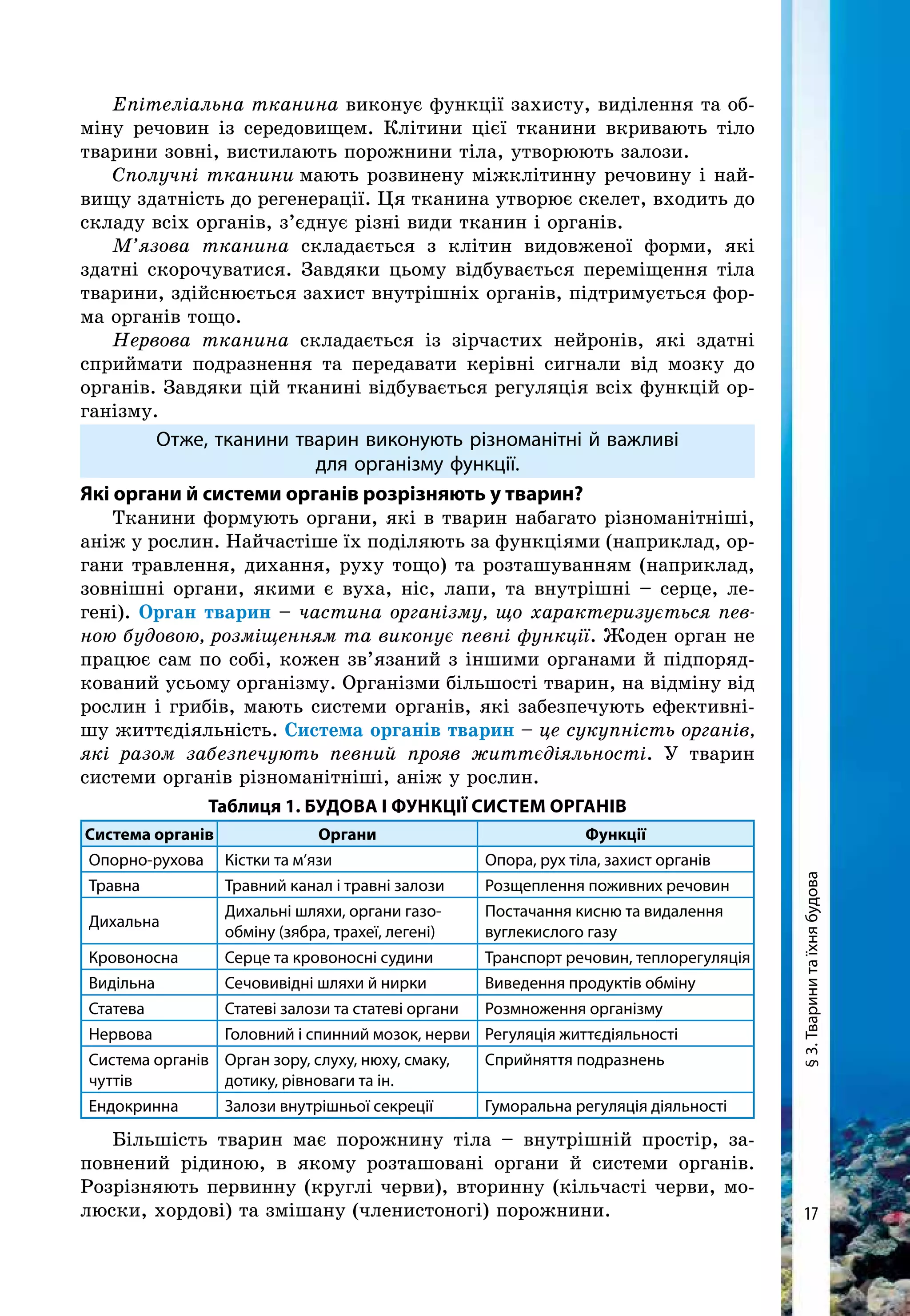 17
§3.Тваринитаїхнябудова
Епітеліальна тканина виконує функції захисту, виділення та об-
міну речовин із середовищем. Клітини цієї тканини вкривають тіло
тварини зовні, вистилають порожнини тіла, утворюють залози.
Сполучні тканини мають розвинену міжклітинну речовину і най-
вищу здатність до регенерації. Ця тканина утворює скелет, входить до
складу всіх органів, з’єднує різні види тканин і органів.
М’язова тканина складається з клітин видовженої форми, які
здатні скорочуватися. Завдяки цьому відбувається переміщення тіла
тварини, здійснюється захист внутрішніх органів, підтримується фор-
ма органів тощо.
Нервова тканина складається із зірчастих нейронів, які здатні
сприймати подразнення та передавати керівні сигнали від мозку до
органів. Завдяки цій тканині відбувається регуляція всіх функцій ор-
ганізму.
Отже, тканини тварин виконують різноманітні й важливі
для організму функції.
Які органи й системи органів розрізняють у тварин?
Тканини формують органи, які в тварин набагато різноманітніші,
аніж у рослин. Найчастіше їх поділяють за функціями (наприклад, ор-
гани травлення, дихання, руху тощо) та розташуванням (наприклад,
зовнішні органи, якими є вуха, ніс, лапи, та внутрішні – серце, ле-
гені). Орган тварин – частина організму, що характеризується пев-
ною будовою, розміщенням та виконує певні функції. Жоден орган не
працює сам по собі, кожен зв’язаний з іншими органами й підпоряд-
кований усьому організму. Організми більшості тварин, на відміну від
рослин і грибів, мають системи органів, які забезпечують ефективні-
шу життєдіяльність. Система органів тварин – це сукупність органів,
які разом забезпечують певний прояв життєдіяльності. У тварин
системи органів різноманітніші, аніж у рослин.
Таблиця 1. Будова і функції систем органів
Система органів Органи Функції
Опорно-рухова Кістки та м’язи Опора, рух тіла, захист органів
Травна Травний канал і травні залози Розщеплення поживних речовин
Дихальна
Дихальні шляхи, органи газо­
обміну (зябра, трахеї, легені)
Постачання кисню та видалення
вуглекислого газу
Кровоносна Серце та кровоносні судини Транспорт речовин, теплорегуляція
Видільна Сечовивідні шляхи й нирки Виведення продуктів обміну
Статева Статеві залози та статеві органи Розмноження організму
Нервова Головний і спинний мозок, нерви Регуляція життєдіяльності
Система органів
чуттів
Орган зору, слуху, нюху, смаку,
дотику, рівноваги та ін.
Сприйняття подразнень
Ендокринна Залози внутрішньої секреції Гуморальна регуляція діяльності
Більшість тварин має порожнину тіла – внутрішній простір, за-
повнений рідиною, в якому розташовані органи й системи органів.
Розрізняють первинну (круглі черви), вторинну (кільчасті черви, мо-
люски, хордові) та змішану (членистоногі) порожнини.
 