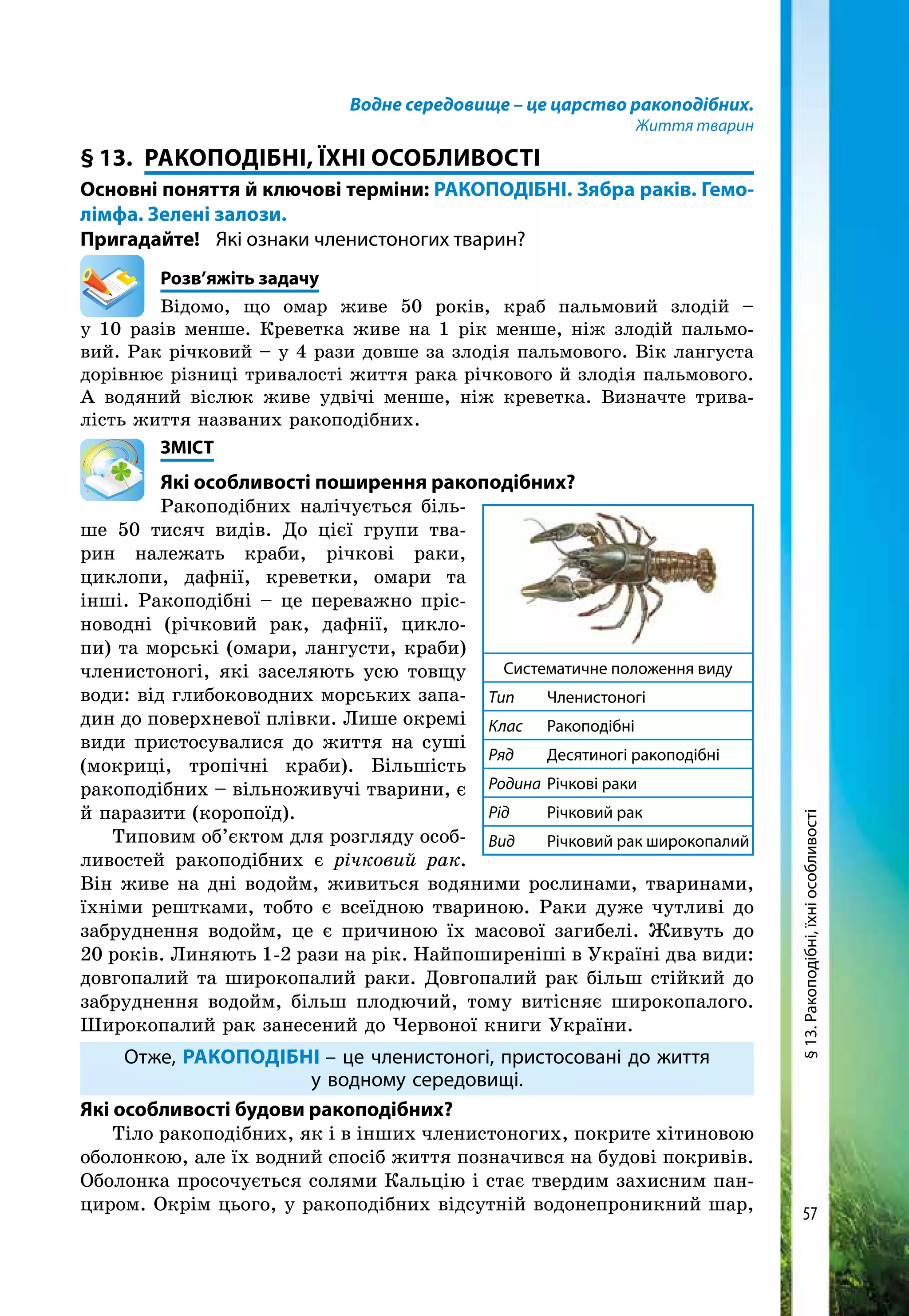 57
Водне середовище – це царство ракоподібних.
Життя тварин
§ 13.	РАКОПОДІБНІ, Їхні ОСОБЛИВОСТІ
Основні поняття й ключові терміни: РАКОПОДІБНІ. Зябра раків. Гемо­
лімфа. Зелені залози.
Пригадайте! 	 Які ознаки членистоногих тварин?
	Розв’яжіть задачу
Відомо, що омар живе 50 років, краб пальмовий злодій –
у 10 разів менше. Креветка живе на 1 рік менше, ніж злодій пальмо-
вий. Рак річковий – у 4 рази довше за злодія пальмового. Вік лангуста
дорівнює різниці тривалості життя рака річкового й злодія пальмового.
А водяний віслюк живе удвічі менше, ніж креветка. Визначте трива-
лість життя названих ракоподібних.
	ЗМІСТ
	 Які особливості поширення ракоподібних?
Ракоподібних налічується біль-
ше 50 тисяч видів. До цієї групи тва-
рин належать краби, річкові раки,
циклопи, дафнії, креветки, омари та
інші. Ракоподібні – це переважно пріс-
новодні (річковий рак, дафнії, цикло-
пи) та морські (омари, лангусти, краби)
членистоногі, які заселяють усю товщу
води: від глибоководних морських запа-
дин до поверхневої плівки. Лише окремі
види пристосувалися до життя на суші
(мокриці, тропічні краби). Більшість
ракоподібних – вільноживучі тварини, є
й паразити (коропоїд).
Типовим об’єктом для розгляду особ­
ливостей ракоподібних є річковий рак.
Він живе на дні водойм, живиться водяними рослинами, тваринами,
їхніми рештками, тобто є всеїдною твариною. Раки дуже чутливі до
забруднення водойм, це є причиною їх масової загибелі. Живуть до
20 років. Линяють 1-2 рази на рік. Найпоширеніші в Україні два види:
довгопалий та широкопалий раки. Довгопалий рак більш стійкий до
забруднення водойм, більш плодючий, тому витісняє широкопалого.
Широкопалий рак занесений до Червоної книги України.
Отже, ракоподібні – це членистоногі, пристосовані до життя
у водному середовищі.
Які особливості будови ракоподібних?
Тіло ракоподібних, як і в інших членистоногих, покрите хітиновою
оболонкою, але їх водний спосіб життя позначився на будові покривів.
Оболонка просочується солями Кальцію і стає твердим захисним пан-
циром. Окрім цього, у ракоподібних відсутній водонепроникний шар,
Систематичне положення виду
Тип 	 Членистоногі
Клас 	Ракоподібні
Ряд 	 Десятиногі ракоподібні
Родина 	Річкові раки
Рід 	 Річковий рак
Вид 	 Річковий рак широкопалий
§13.Ракоподібні,їхніособливості
 