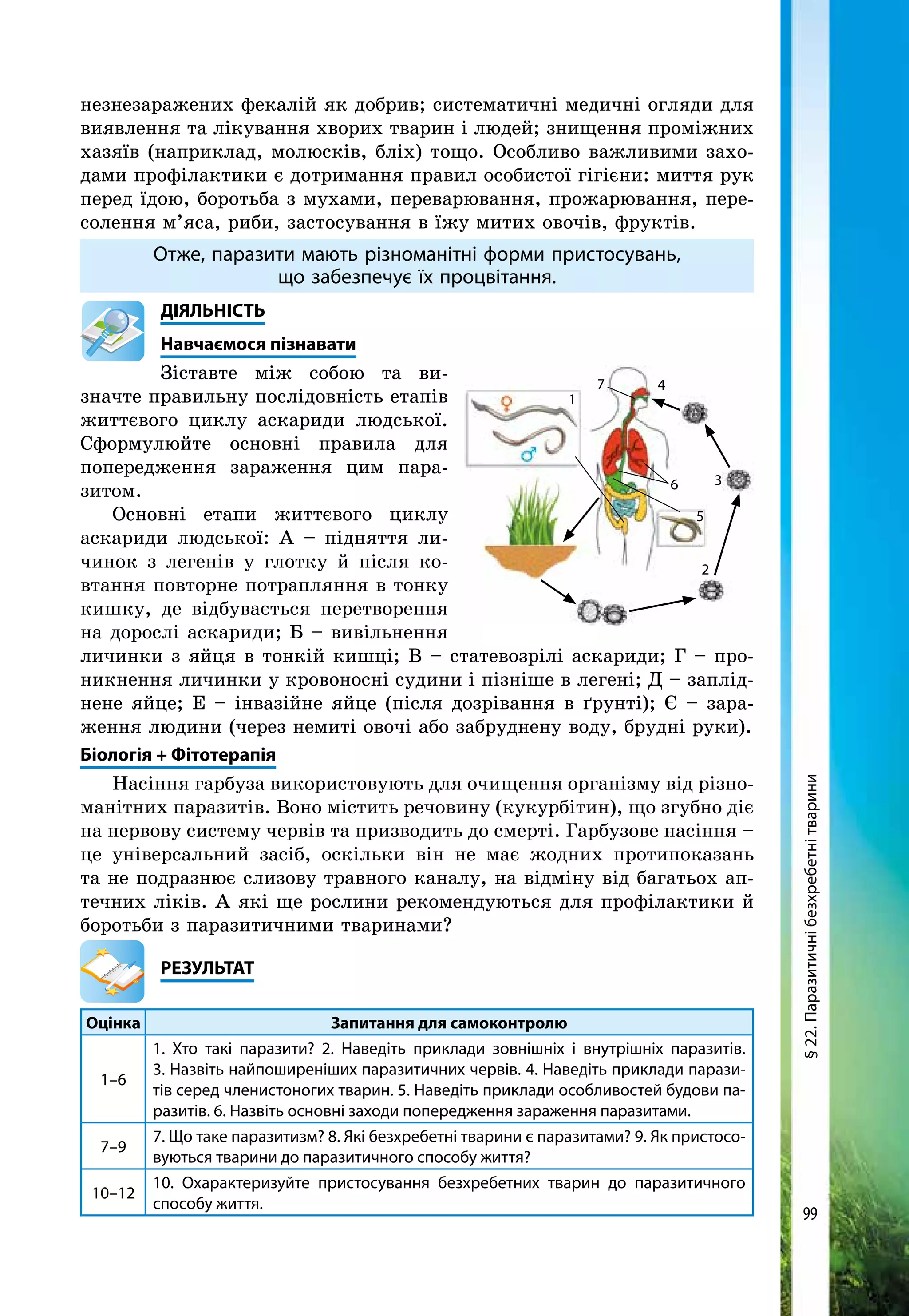 99
незнезаражених фекалій як добрив; систематичні медичні огляди для
виявлення та лікування хворих тварин і людей; знищення проміжних
хазяїв (наприклад, молюсків, бліх) тощо. Особливо важливими захо-
дами профілактики є дотримання правил особистої гігієни: миття рук
перед їдою, боротьба з мухами, переварювання, прожарювання, пере-
солення м’яса, риби, застосування в їжу митих овочів, фруктів.
Отже, паразити мають різноманітні форми пристосувань,
що забезпечує їх процвітання.
	ДІЯЛЬНІСТЬ
	Навчаємося пізнавати
Зіставте між собою та ви­
значте правильну послідовність етапів
життєвого циклу аскариди людської.
Сформулюйте основні правила для
попере­дження зараження цим пара­
зитом.
Основні етапи життєвого циклу
аска­риди людської: А – підняття ли-
чинок з легенів у глотку й після ко-
втання повторне потрапляння в тонку
кишку, де відбувається перетворення
на дорослі аскариди; Б – вивільнення
личинки з яйця в тонкій кишці; В – статевозрілі аскариди; Г – про-
никнення личинки у кровоносні судини і пізніше в легені; Д – заплід-
нене яйце; Е – інвазійне яйце (після дозрівання в ґрунті); Є – зара-
ження людини (через немиті овочі або забруднену воду, брудні руки).
Біологія + Фітотерапія
Насіння гарбуза використовують для очищення організму від різно-
манітних паразитів. Воно містить речовину (кукурбітин), що згубно діє
на нервову систему червів та призводить до смерті. Гарбузове насіння –
це універсальний засіб, оскільки він не має жодних протипоказань
та не подразнює слизову травного каналу, на відміну від багатьох ап-
течних ліків. А які ще рослини рекомендуються для профілактики й
боротьби з паразитичними тваринами?
	РЕЗУЛЬТАТ
Оцінка Запитання для самоконтролю
1–6
1. Хто такі паразити? 2. Наведіть приклади зовнішніх і внутрішніх паразитів.
3. Назвіть найпоширеніших паразитичних червів. 4. Наведіть приклади парази-
тів серед членистоногих тварин. 5. Наведіть приклади особливостей будови па-
разитів. 6. Назвіть основні заходи попередження зараження паразитами.
7–9
7. Що таке паразитизм? 8. Які безхребетні тварини є паразитами? 9. Як пристосо-
вуються тварини до паразитичного способу життя?
10–12
10. Охарактеризуйте пристосування безхребетних тварин до паразитичного
способу життя.
1
6
5
2
3
47
§22.Паразитичнібезхребетнітварини
 