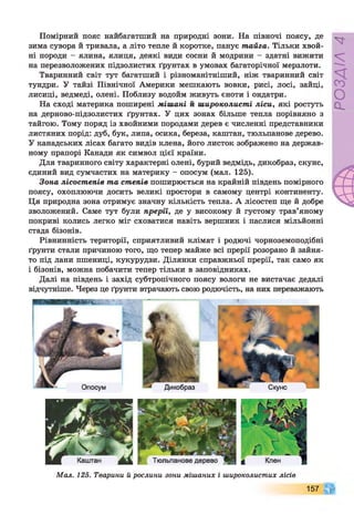 Помірний пояс найбагатший на природні зони. На півночі поясу, де
зима сувора й тривала, а літо тепле й коротке, панує тайга. Тільки хвой­
ні породи - ялина, ялиця, деякі види сосни й модрини - здатні вижити
на перезволожених підзолистих ґрунтах в умовах багаторічної мерзлоти.
Тваринний світ тут багатший і різноманітніший, ніж тваринний світ
тундри. У тайзі Північної Америки мешкають вовки, рисі, лосі, зайці,
лисиці, ведмеді, олені. Поблизу водойм живуть єноти і ондатри.
На сході материка поширені мішані й широколисті ліси, які ростуть
на дерново-підзолистих ґрунтах. У цих зонах більше тепла порівняно з
тайгою. Тому поряд із хвойними породами дерев є численні представники
листяних порід: дуб, бук, липа, осика, береза, каштан, тюльпанове дерево.
У канадських лісах багато видів клена, його листок зображено на держав­
ному прапорі Канади як символ цієї країни.
Для тваринного світу характерні олені, бурий ведмідь, дикобраз, скунс,
єдиний вид сумчастих на материку - опосум (мал. 125).
Зона лісостепів та степів поширюється на крайній південь помірного
поясу, охоплюючи досить великі простори в самому центрі континенту.
Ця природна зона отримує значну кількість тепла. А лісостеп ще й добре
зволожений. Саме тут були прерїі, де у високому й густому трав’яному
покриві колись легко міг сховатися навіть вершник і паслися мільйонні
стада бізонів.
Рівнинність території, сприятливий клімат і родючі чорноземоподібні
ґрунти стали причиною того, що тепер майже всі прерії розорано й зайня­
то під лани пшениці, кукурудзи. Ділянки справжньої прерії, так само як
і бізонів, можна побачити тепер тільки в заповідниках.
Далі на південь і захід субтропічного поясу вологи не вистачає дедалі
відчутніше. Через це ґрунти втрачають свою родючість, на них переважають
Опосум Дикобраз
Мал. 125. Тварини й рослини зони мішаних і широколистих лісів
157
РОЗДІЛ4
 