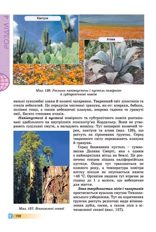РZlVSO
Мал. 126. Рослини напівпустель і пустель помірного
й субтропічного поясів
низькі сухолюбні злаки и колючі чагарники. Твариннии світ лісостепів та
степів небагатий. Це передусім численні гризуни, як-от: ховрахи, бабаки,
полівки тощо, а також небезпечні плазуни, зокрема гадюки та гримучі
змії. Багато степових птахів.
Напівпустелі й пустелі помірного та субтропічного поясів розташо­
вані здебільшого на внутрішніх плоскогір’ях Кордильєр. Вони не утво­
рюють суцільної смуги, а нагадують мозаїку. Тут поширені колючий те­
Мал. 127. Вічнозелені секвбі
158
рен, кактуси та агави (мал. 126), що
ростуть на сіроземних ґрунтах. Серед
тваринного світу переважають плазуни
й гризуни.
Серед безживних пустель - сумно­
звісна Долина Смерті, яка є одним
з найжаркіших місць на Землі. Це роз­
печена сонцем піщана каліфорнійська
пустеля. Опади тут трапляються не
кожного року, а температура повітря
влітку ніколи не опускається нижче
+40 °С. Організм людини тут втрачає за
годину до 1 л вологи, що небезпечно
для життя.
Зона твердолистих лісів і чагарників
простягається вузькою смугою Тихооке­
анського узбережжя. Тут на коричневих
ґрунтах ростуть реліктові види вічнозе­
лених дубів, сосни, а також ліси з ві­
чнозеленої секвої (мал. 127).
 