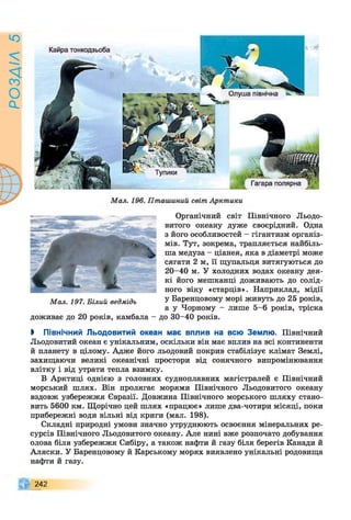 РОЗАІЛ5
Органічний світ Північного Льодо­
витого океану дуже своєрідний. Одна
з його особливостей - гігантизм організ­
мів. Тут, зокрема, трапляється найбіль­
ша медуза - ціанея, яка в діаметрі може
сягати 2 м, її щупальця витягуються до
20-40 м. У холодних водах океану дея­
кі його мешканці доживають до солід­
ного віку «старців». Наприклад, мідії
у Баренцовому морі живуть до 25 років,
а у Чорному - лише 5-6 років, тріска
доживає до 20 років, камбала - до 30-40 років.
М ал. 197. Білий ведмідь
Ь Північний Льодовитий океан має вплив на всю Землю. Північний
Льодовитий океан є унікальним, оскільки він має вплив на всі континенти
й планету в цілому. Адже його льодовий покрив стабілізує клімат Землі,
захищаючи великі океанічні простори від сонячного випромінювання
влітку і від утрати тепла взимку.
В Арктиці однією з головних судноплавних магістралей є Північний
морський шлях. Він пролягає морями Північного Льодовитого океану
вздовж узбережжя Євразії. Довжина Північного морського шляху стано­
вить 5600 км. Щорічно цей шлях «працює» лише два-чотири місяці, поки
прибережні води вільні від криги (мал. 198).
Складні природні умови значно утруднюють освоєння мінеральних ре­
сурсів Північного Льодовитого океану. Але нині вже розпочато добування
олова біля узбережжя Сибіру, а також нафти й газу біля берегів Канади й
Аляски. У Баренцовому й Карському морях виявлено унікальні родовища
нафти й газу.
242
 