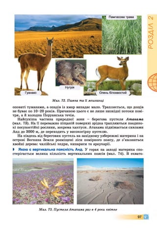 Мал. 72. Пампа та її мешканці
оповиті туманами, а опадів із хмар випадає мало. Трапляється, що дощів
не буває по 10-20 років. Причиною цього є не лише низхідні потоки пові­
тря, а й холодна Перуанська течія.
Найсухіша частина природної зони - берегова пустеля Атакама
(мал. 73). На її переважно піщаній поверхні зрідка трапляються поодино­
кі посухостійкі рослини, зокрема кактуси. Атакама піднімається схилами
Анд до 3000 м, де переходить у високогірну пустелю.
На південь від берегових пустель на західному узбережжі материка і на
острові Вогняна Земля розміщені ліси помірного поясу, де з’являються
хвойні дерева: чилійські кедри, кипариси та араукарії.
І Якою є вертикальна поясність Анд. У горах на заході материка спо­
стерігається велика кількість вертикальних поясів (мал. 74). В еквато-
Мал. 73. Пустеля Атакама раз в 4 роки квітне
97 Щ
РОЗДІЛ2
 