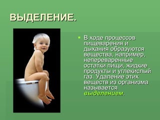 ВЫДЕЛЕНИЕ.   В ходе процессов пищеварения и дыхания образуются вещества, например, непереваренные остатки пищи, жидкие продукты и углекислый газ. Удаление этих веществ из организма называется  выделением . 