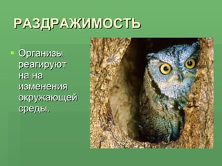 РАЗДРАЖИМОСТЬ Организы реагируют на на изменения окружающей среды. 