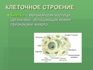КЛЕТОЧНОЕ СТРОЕНИЕ Клетка  – мельчайшая частица организма, обладающая всеми признаками живого. 