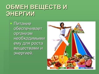 ОБМЕН ВЕЩЕСТВ И ЭНЕРГИИ Питание обеспечивает организм необходимыми ему для роста веществами и энергией. 