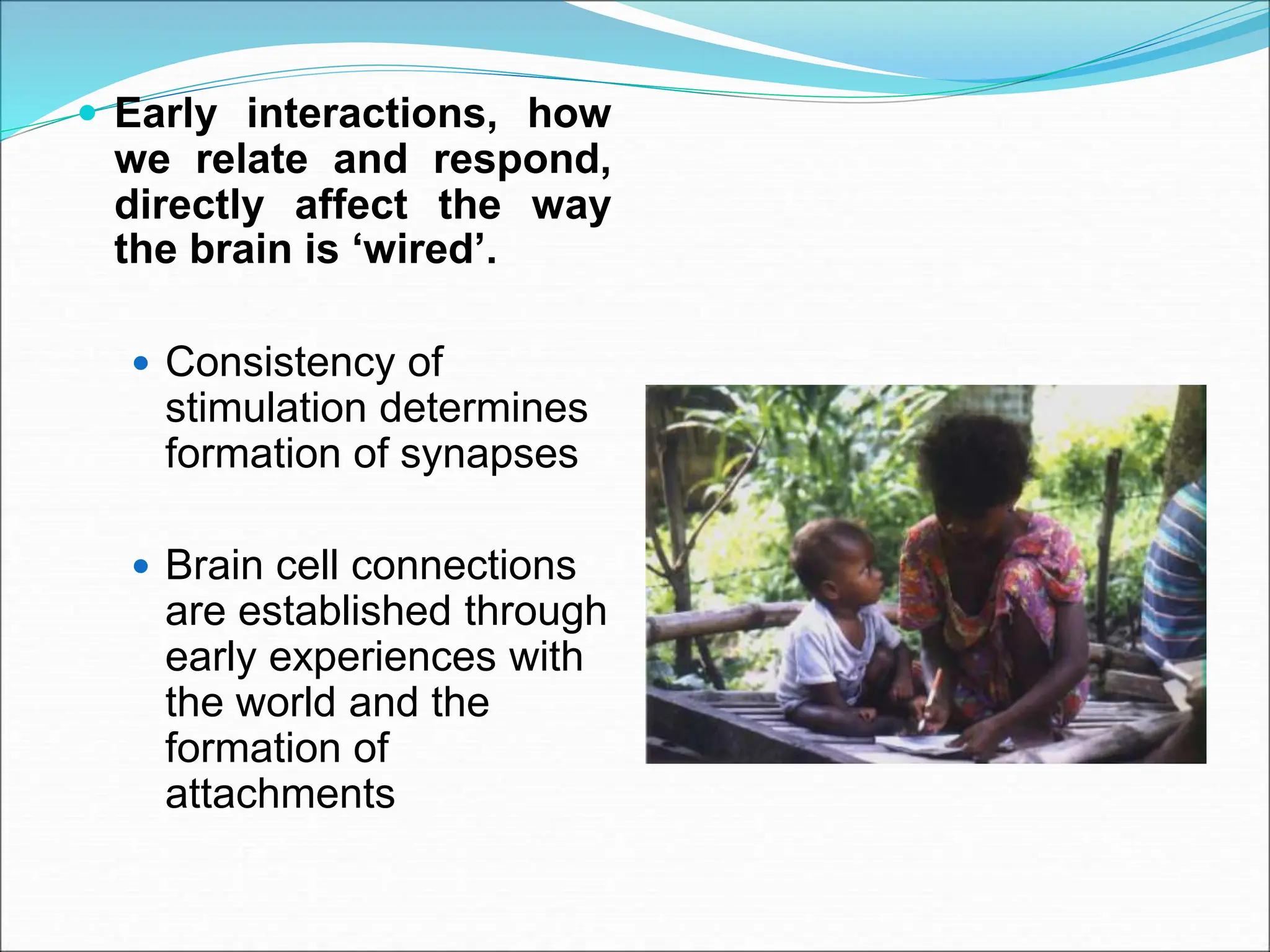  Early interactions, how
we relate and respond,
directly affect the way
the brain is ‘wired’.
 Consistency of
stimulation determines
formation of synapses
 Brain cell connections
are established through
early experiences with
the world and the
formation of
attachments
 
