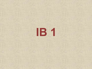 IB 1
 