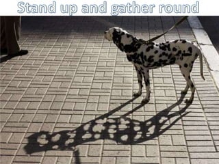 Stand up and gather round