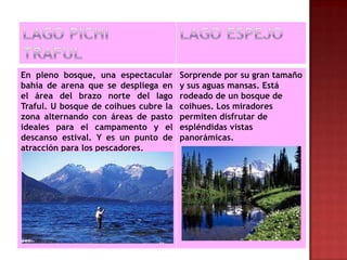 En pleno bosque, una espectacular      Sorprende por su gran tamaño
bahía de arena que se despliega en     y sus aguas mansas. Está
el área del brazo norte del lago       rodeado de un bosque de
Traful. U bosque de coihues cubre la   coihues. Los miradores
zona alternando con áreas de pasto     permiten disfrutar de
ideales para el campamento y el        espléndidas vistas
descanso estival. Y es un punto de     panorámicas.
atracción para los pescadores.
 