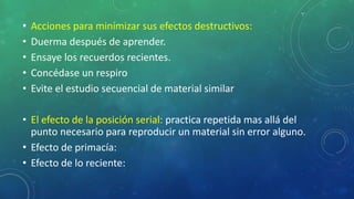 • Acciones para minimizar sus efectos destructivos:
• Duerma después de aprender.
• Ensaye los recuerdos recientes.
• Concédase un respiro
• Evite el estudio secuencial de material similar
• El efecto de la posición serial: practica repetida mas allá del
punto necesario para reproducir un material sin error alguno.
• Efecto de primacía:
• Efecto de lo reciente:
 