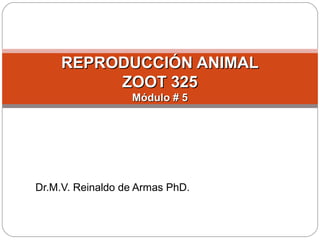Dr.M.V. Reinaldo de Armas PhD.
REPRODUCCIÓN ANIMALREPRODUCCIÓN ANIMAL
ZOOT 325ZOOT 325
Módulo # 5Módulo # 5
 