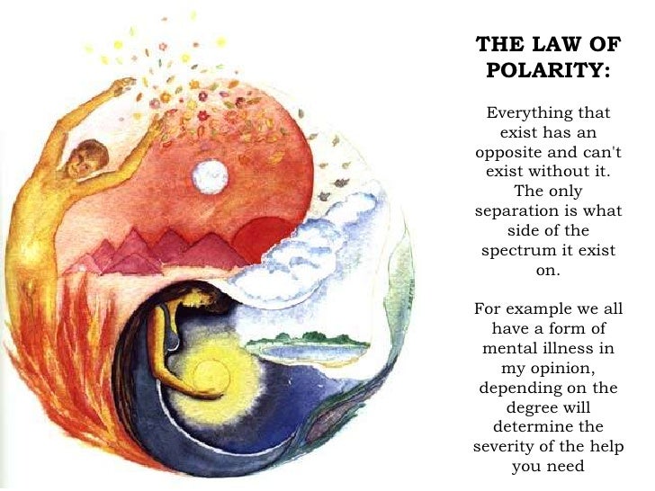 the law of polarity br everything