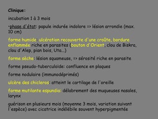Clinique:
incubation 1 à 3 mois
•phase d'état: papule indurée indolore => lésion arrondie (max.
10 cm)
forme humide: ulcération recouverte d'une croûte, bordure
enflammée riche en parasites (bouton d'Orient, clou de Biskra,
clou d'Alep, pian bois, Uta...)
forme sèche: lésion squameuse, => sérosité riche en parasite
forme pseudo-tuberculoïde: confluence en plaques
forme nodulaire (immunodéprimés)
ulcère des chicleros: atteint le cartilage de l'oreille
forme mutilante espundia: délabrement des muqueuses nasales,
larynx
guérison en plusieurs mois (moyenne 3 mois, variation suivant
l'espèce) avec cicatrice indélébile souvent hyperpigmentée
 