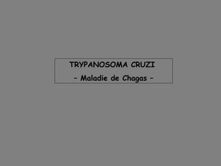TRYPANOSOMA CRUZI
– Maladie de Chagas –
 