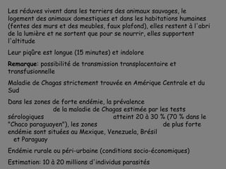 Les réduves vivent dans les terriers des animaux sauvages, le
logement des animaux domestiques et dans les habitations humaines
(fentes des murs et des meubles, faux plafond), elles restent à l'abri
de la lumière et ne sortent que pour se nourrir, elles supportent
l'altitude
Leur piqûre est longue (15 minutes) et indolore
Remarque: possibilité de transmission transplacentaire et
transfusionnelle
Maladie de Chagas strictement trouvée en Amérique Centrale et du
Sud
Dans les zones de forte endémie, la prévalence
               de la maladie de Chagas estimée par les tests
sérologiques                        atteint 20 à 30 % (70 % dans le
"Chaco paraguayen"), les zones                       de plus forte
endémie sont situées au Mexique, Venezuela, Brésil
  et Paraguay
Endémie rurale ou péri-urbaine (conditions socio-économiques)
Estimation: 10 à 20 millions d'individus parasités
 