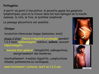 Pathogénie:
A partir du point d'inoculation, le parasite gagne les ganglions
lymphatiques, puis on le trouve dans les macrophages de la moelle
osseuse, la rate, le foie, le système lymphoïde
Le passage placentaire est possible.

Clinique:
incubation silencieuse longue (semaines, mois)
phase d'état: fièvre irrégulière prolongée pendant
1 à 2 mois, splénomégalie indolore, anémie, souvent
hépatomégalie
+ mauvais état général, fatigabilité, adénopathies,
      amaigrissement des membres,
éventuellement: troubles digestifs, complications
rénales, pulmonaires ou cardiaques,
sans traitement: cachexie, mort en 1 à 2 ans
 
