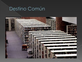 7 leyes de la gestalt