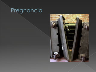 7 leyes de la gestalt