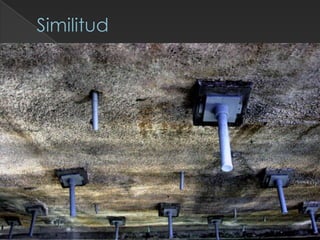 7 leyes de la gestalt