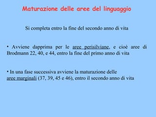 Si completa entro la fine del secondo anno di vita
• Avviene dapprima per le aree perisilviane, e cioè aree di
Brodmann 22, 40, e 44, entro la fine del primo anno di vita
• In una fase successiva avviene la maturazione delle
aree marginali (37, 39, 45 e 46), entro il secondo anno di vita
Maturazione delle aree del linguaggio
 