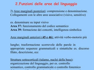 2.Funzioni delle aree del linguaggio
2) Aree marginali posteriori: comprensione e denominazione.
Collegamenti con le altre aree associative (visive, sensitive)
es. denominare su input visivo
Area 37: funzionamento del codice semantico
Area 39: formazione dei concetti, intelligenza simbolica
Aree marginali anteriori (45 e 46): attività verbo-motorie più
lunghe; trasformazione scorrevole delle parole in
appropriate sequenze grammaticali e sintattiche es. discorso
filato, descrizione, ecc
Strutture sottocorticali (talamo, nuclei della base):
organizzazione del linguaggio, per es. controllo
semantico, controllo grammaticale e controllo fonemico
 
