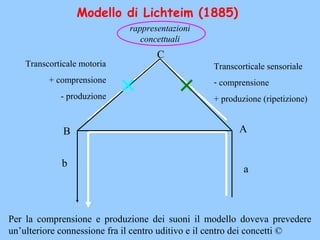 AB
a
b
C
rappresentazioni
concettuali
Transcorticale motoria
+ comprensione
- produzione
Transcorticale sensoriale
- comprensione
+ produzione (ripetizione)
Modello di Lichteim (1885)
Per la comprensione e produzione dei suoni il modello doveva prevedere
un’ulteriore connessione fra il centro uditivo e il centro dei concetti ©
 